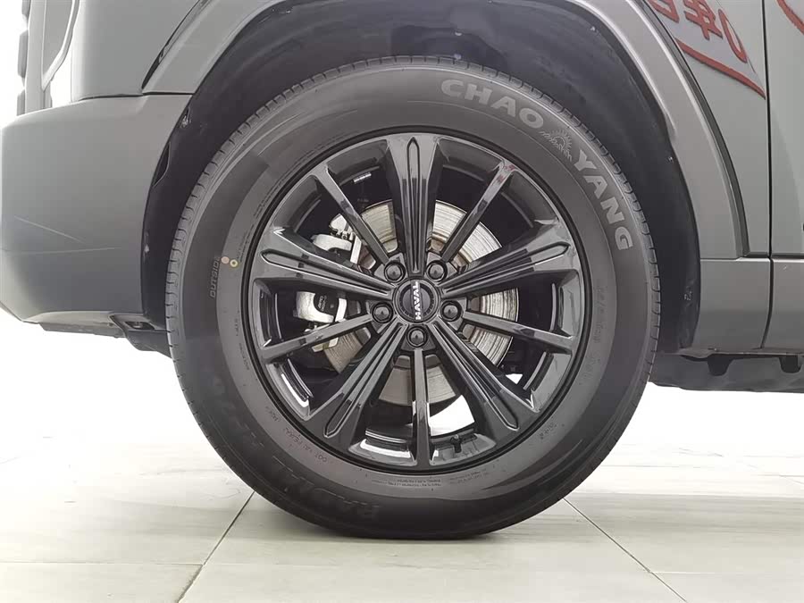 Haval Raptor New Energy 2024 car image #18