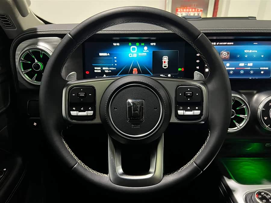 Tank 300 2021 car image #18