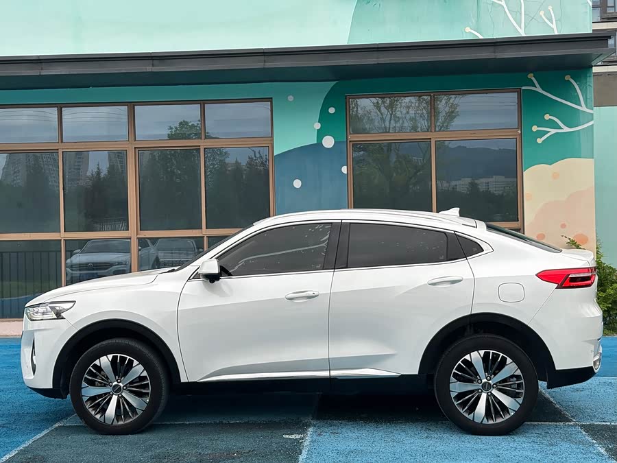 Haval F7x 2021 #18 Haval F7x 2021 car image #18