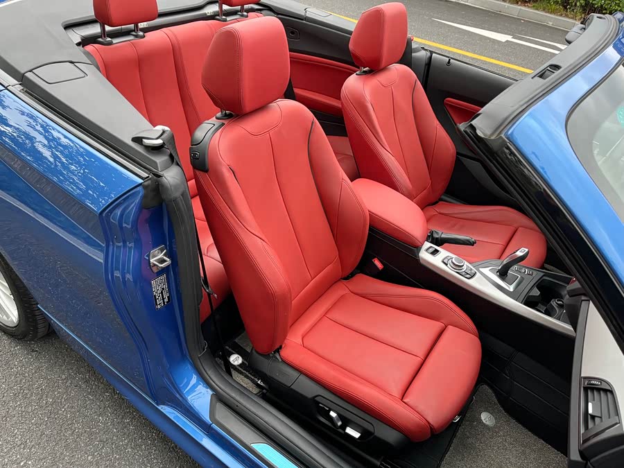 BMW 2 Series (Imported) 2016 car image #18