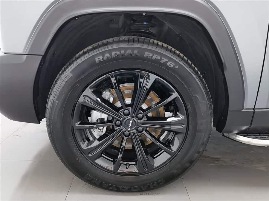 Haval Raptor New Energy 2025 #18 Haval Raptor New Energy 2025 car image #18