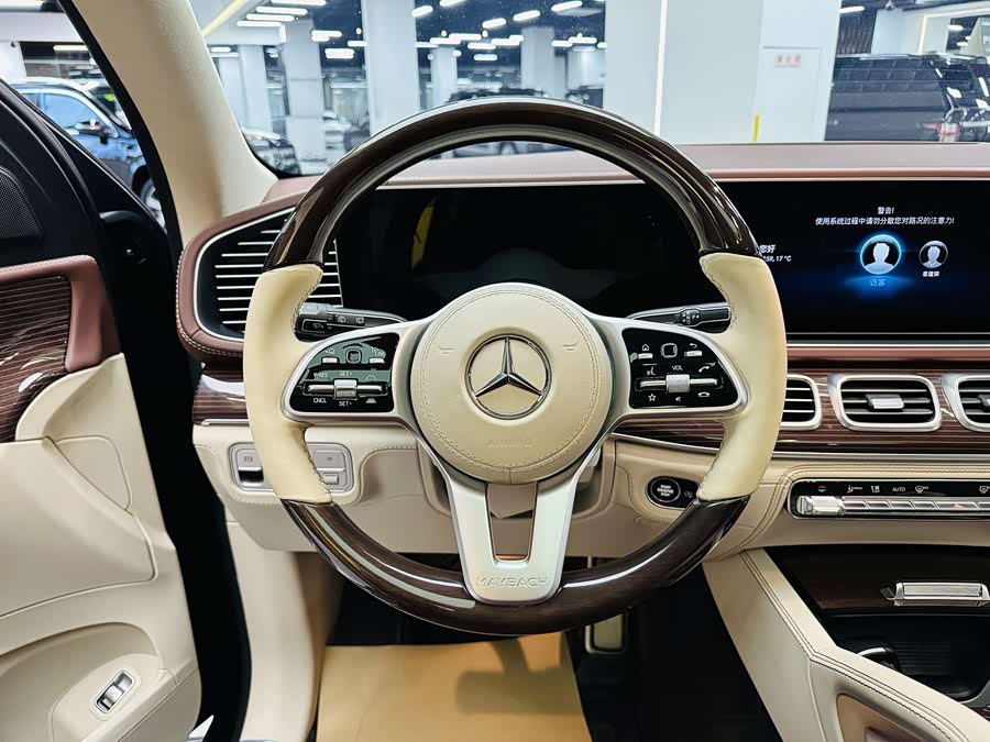 Mercedes-Benz Maybach GLS 2022 car image #18