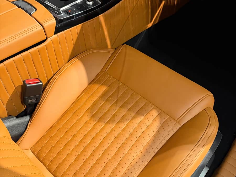 SONGSAN MOTORS SS DOLPHIN 2023 汽车图片 #18