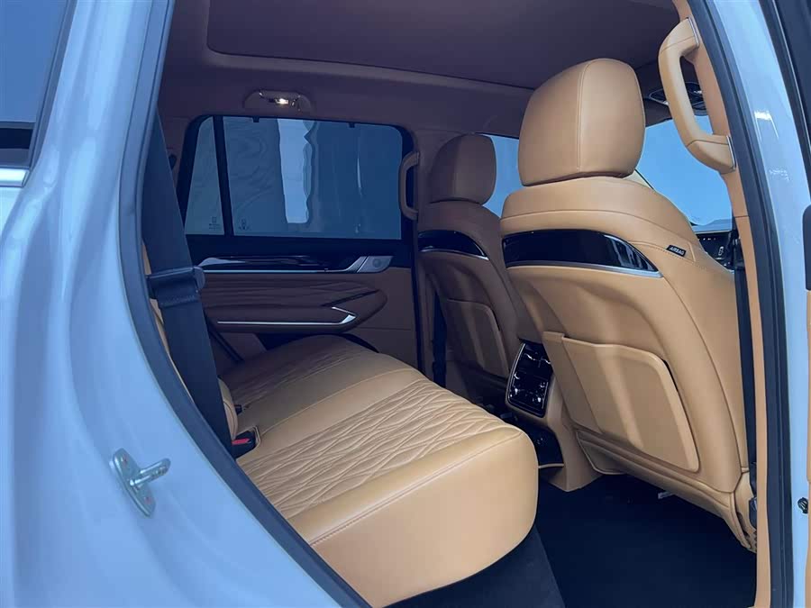 Tank 500 New Energy 2023 immagine di auto #18