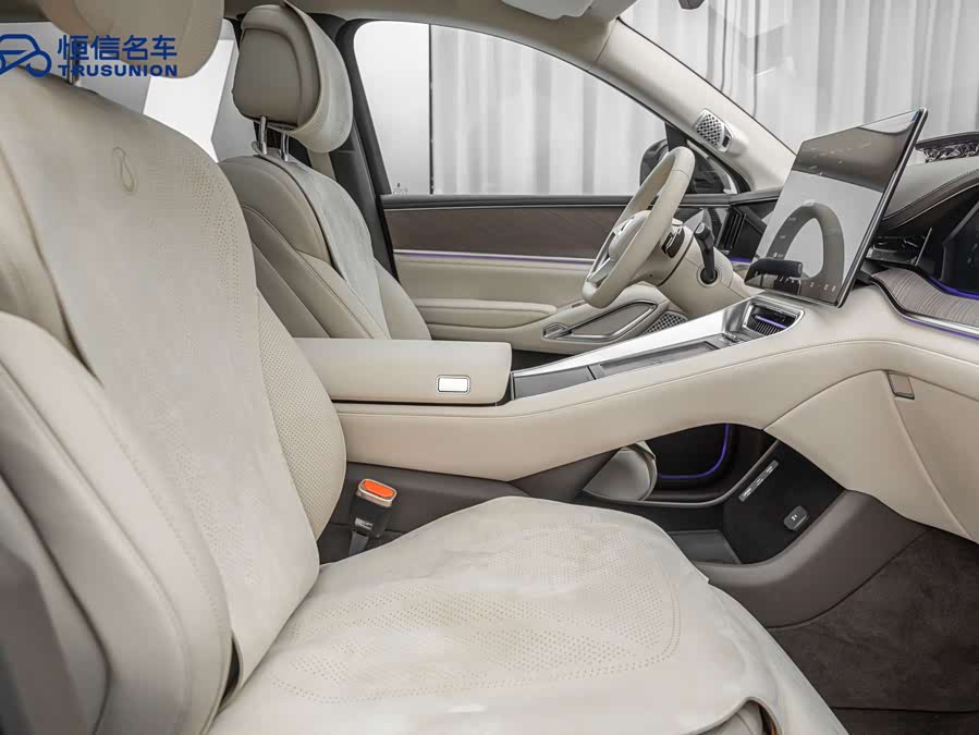 Denza N9 2025 car image #18