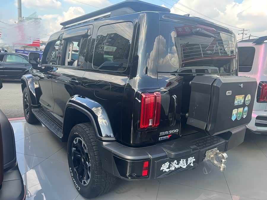 Tank 300 New Energy 2024 car image #18