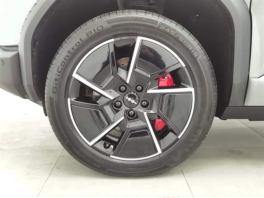 FangChengBao Tiger 3 2025 car image #18