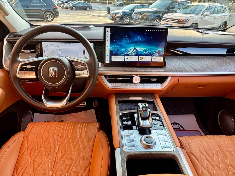 Tank 500 New Energy 2024 car image #18