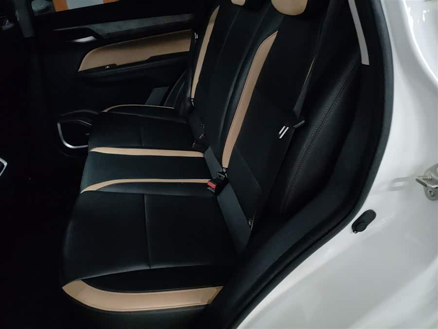 GEELY OkavangoPRO 2024 immagine di auto #18