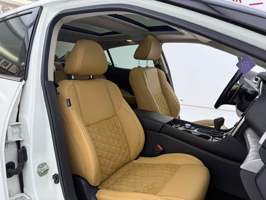 Nissan Maxima 2017 imagem de carro #18