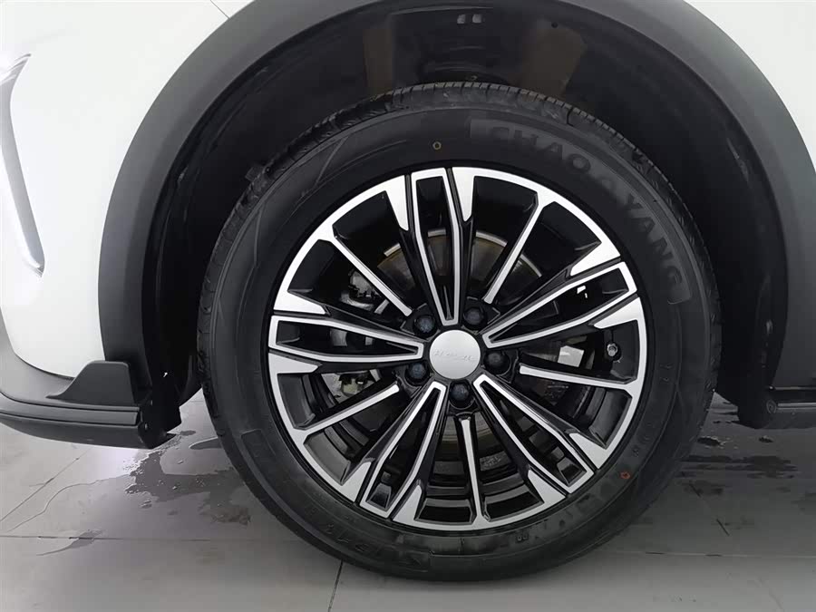 Haval Rabbit 2024 #18 Haval Rabbit 2024 car image #18