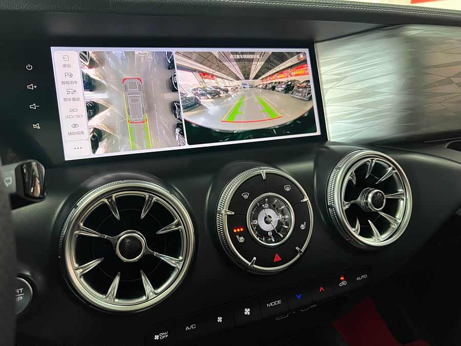 Tank 300 New Energy 2024 car image #18