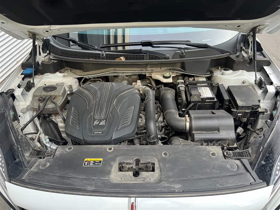 HongQi HS3 2023 immagine di auto #18