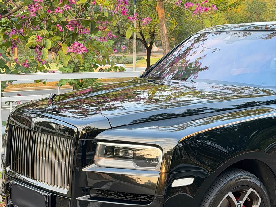 劳斯莱斯 库里南 2025 汽车图片 #18