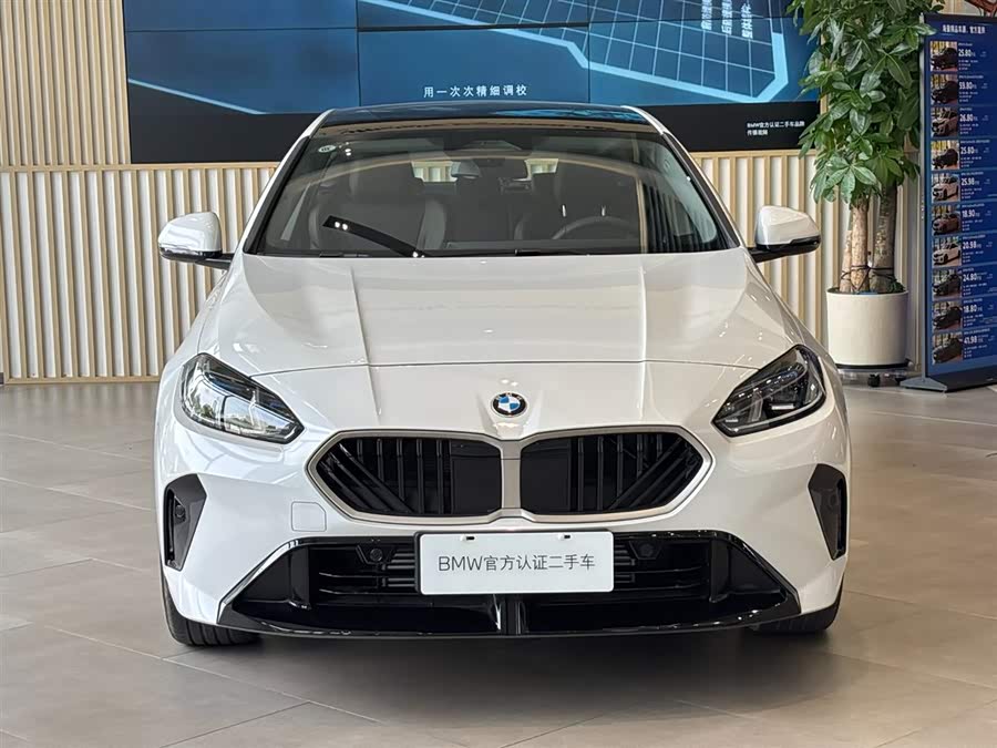 BMW 2 Series car image #18