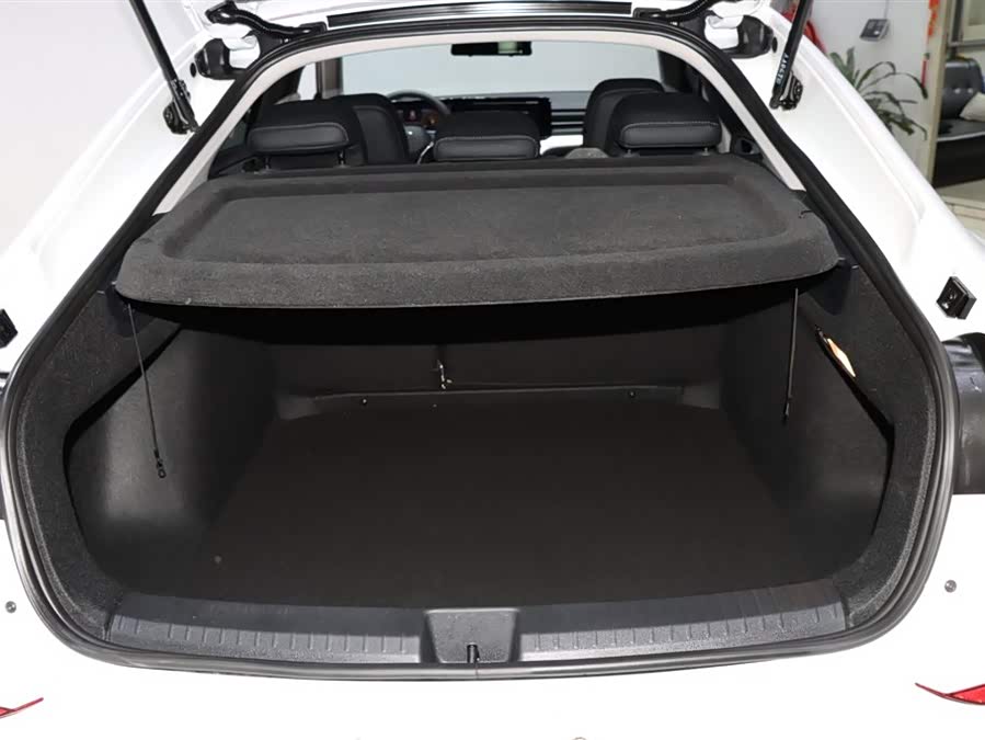 Volkswagen Lamando 2023 imagem de carro #18