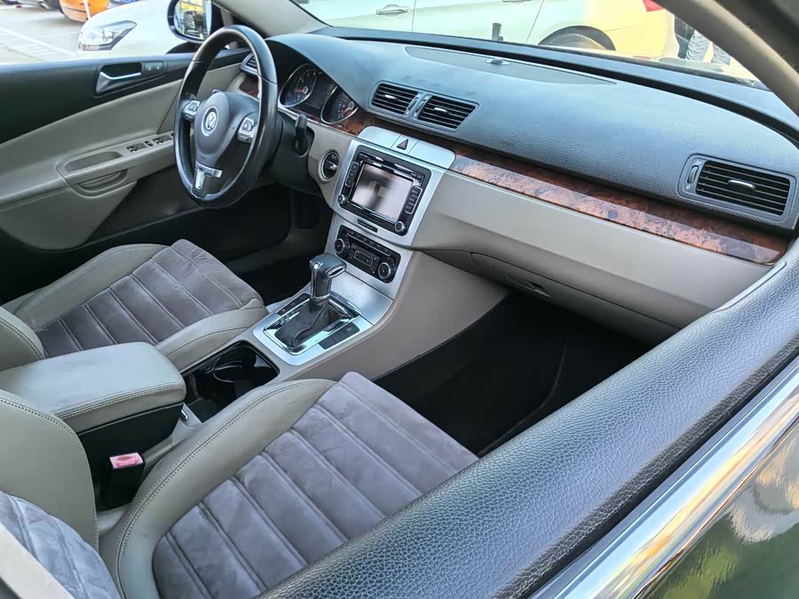 大众 Passat 2010 汽车图片 #18