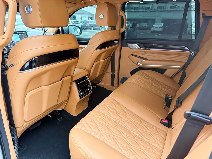 Tank 500 New Energy 2024 immagine di auto #18