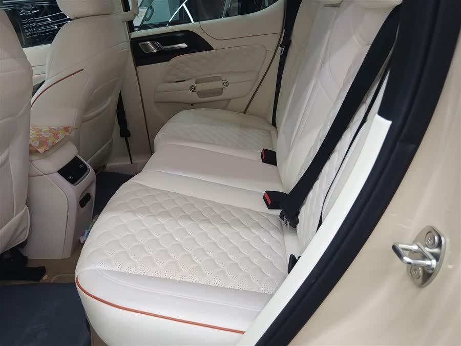 Tank 300 New Energy 2025 imagem de carro #18