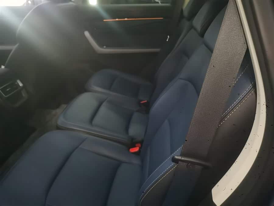 睿蓝汽车 睿蓝9 2024 汽车图片 #18