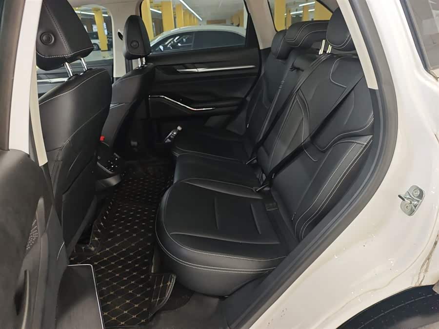 Haval H6 2022 immagine di auto #18