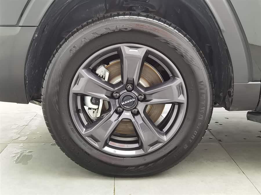 Haval Raptor New Energy 2023 car image #18