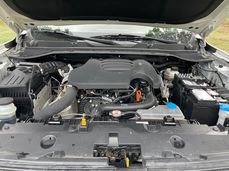 Great Wall Jingang Pao 2023 immagine di auto #18