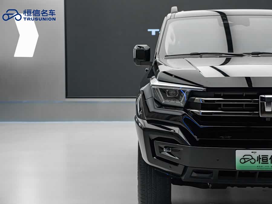 Tank 400 New Energy 2025 car image #18