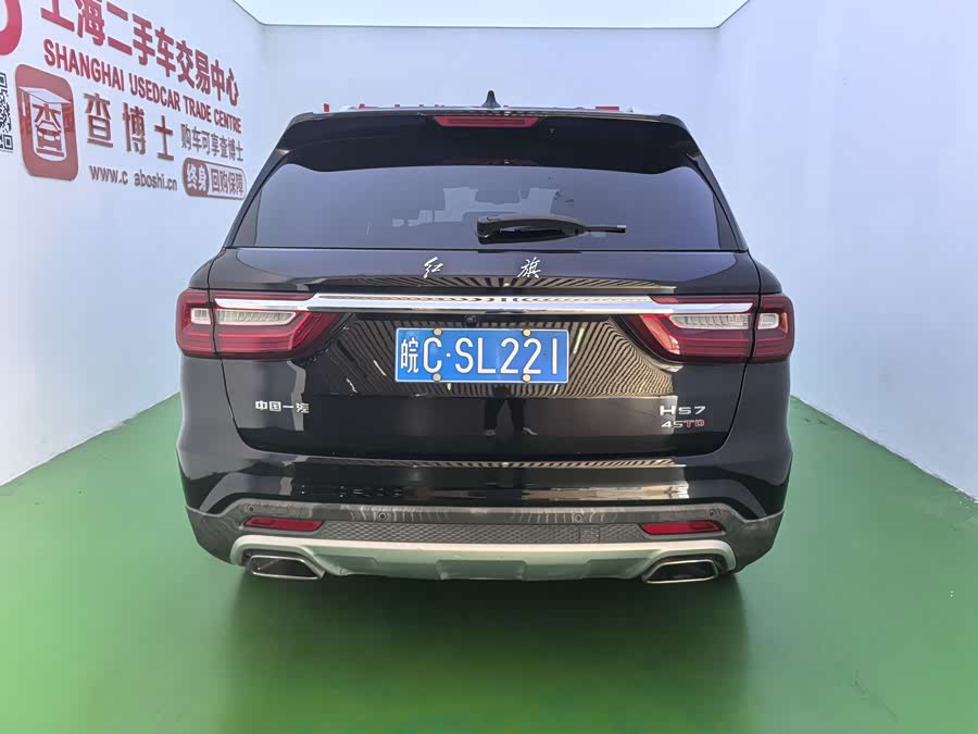 HongQi HS7 2020 #18 HongQi HS7 2020 car image #18