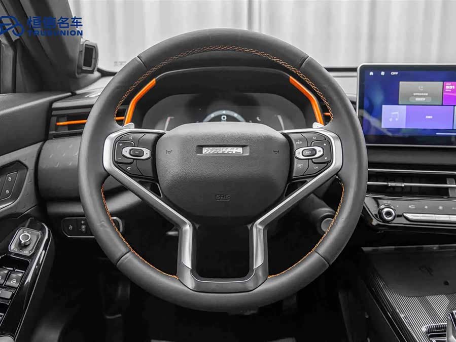 Haval Rabbit 2021 car image #18