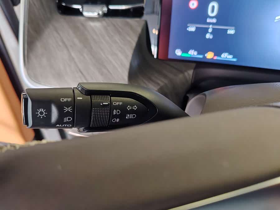 Tank 500 New Energy 2024 immagine di auto #18