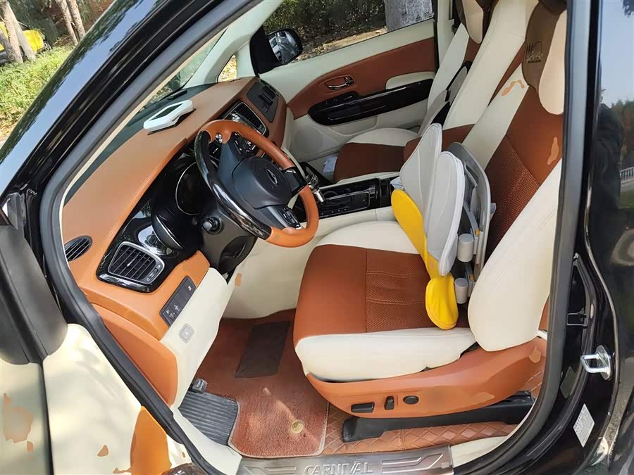 Kia Carnival (Imported) 2016 car image #18