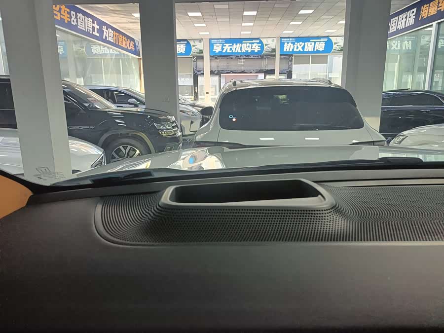 Tank 500 New Energy 2024 car image #18