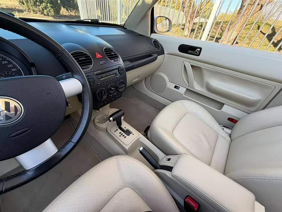 Volkswagen Beetle 2010 immagine di auto #18