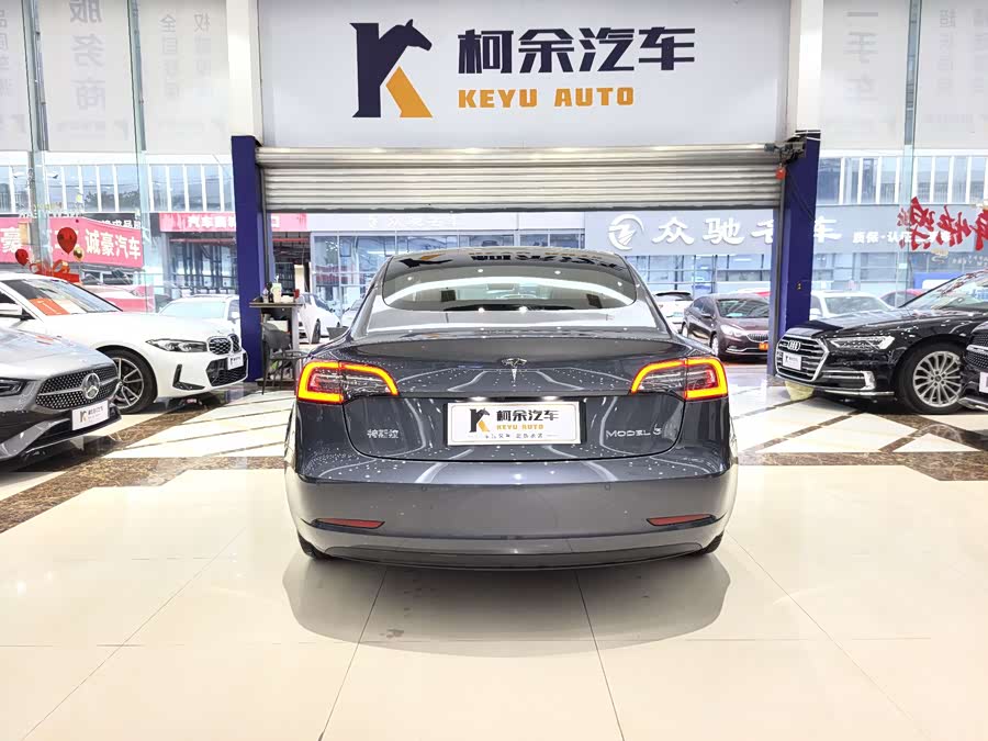 Tesla Model 3 2020 car image #18