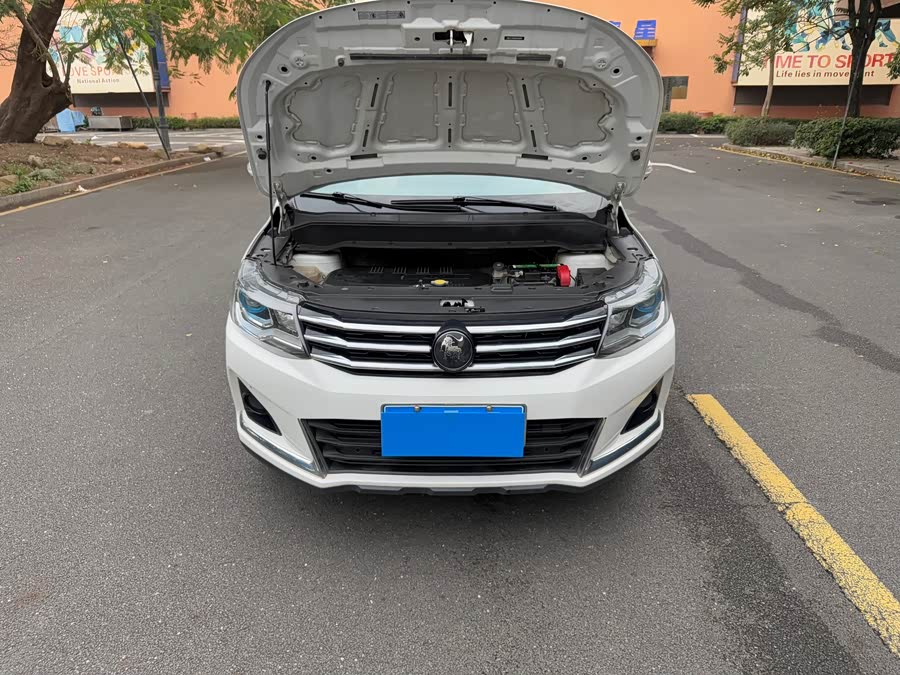 Forthing SX6 2022 car image #18