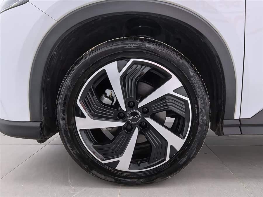 BYD Sea Lion 05 DM-i 2025 car image #18