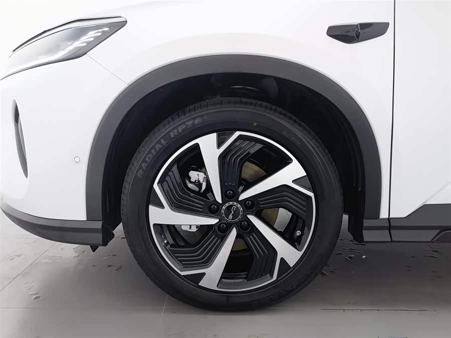 BYD Sea Lion 05 DM-i 2025 car image #18