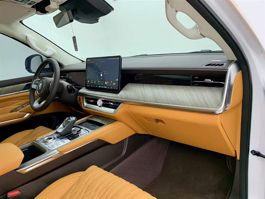 Tank 500 New Energy 2024 immagine di auto #18