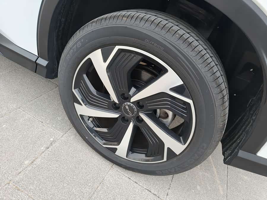 BYD Sea Lion 05 DM-i 2025 car image #18