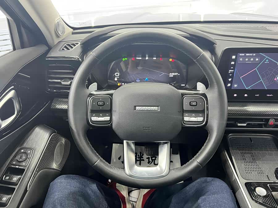 Haval Dargo 2022 car image #18