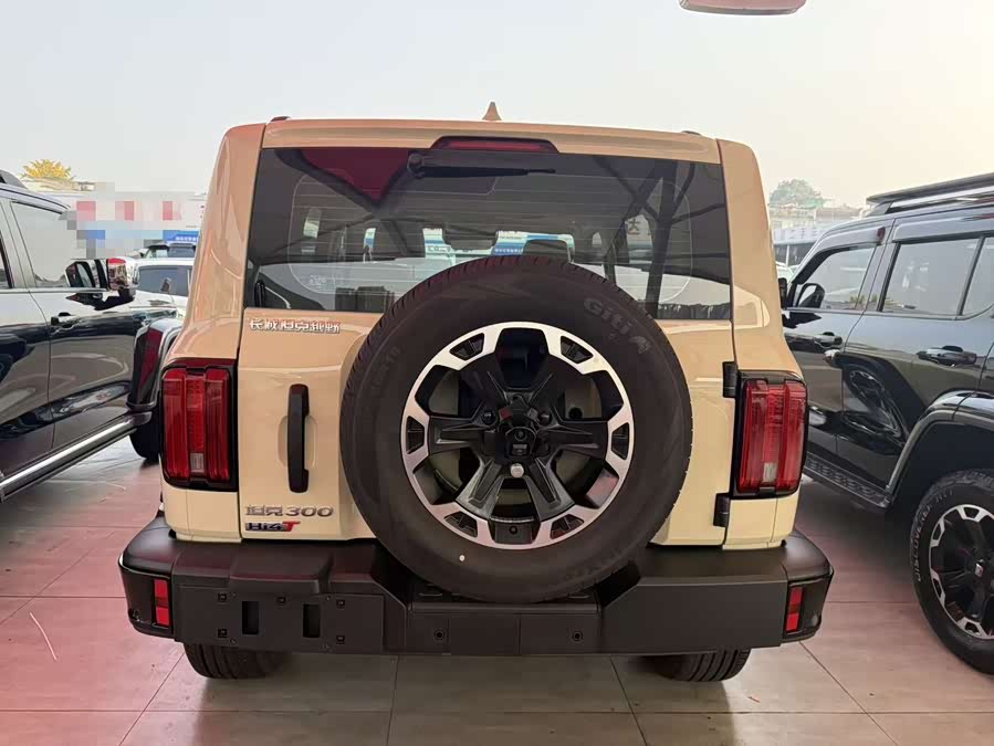 Tank 300 New Energy 2025 car image #18