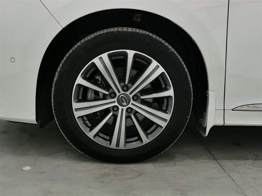 GAC Trumpchi M8 2020 immagine di auto #18