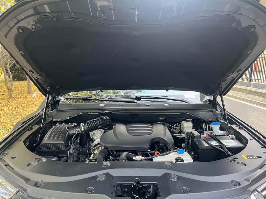 Tank 300 2024 car image #18