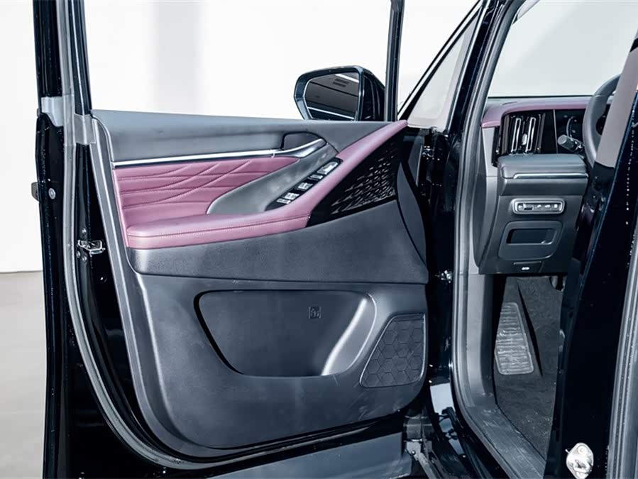 GAC Trumpchi E9 2024 car image #18