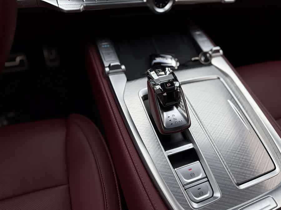 Tank 700 New Energy 2024 car image #18