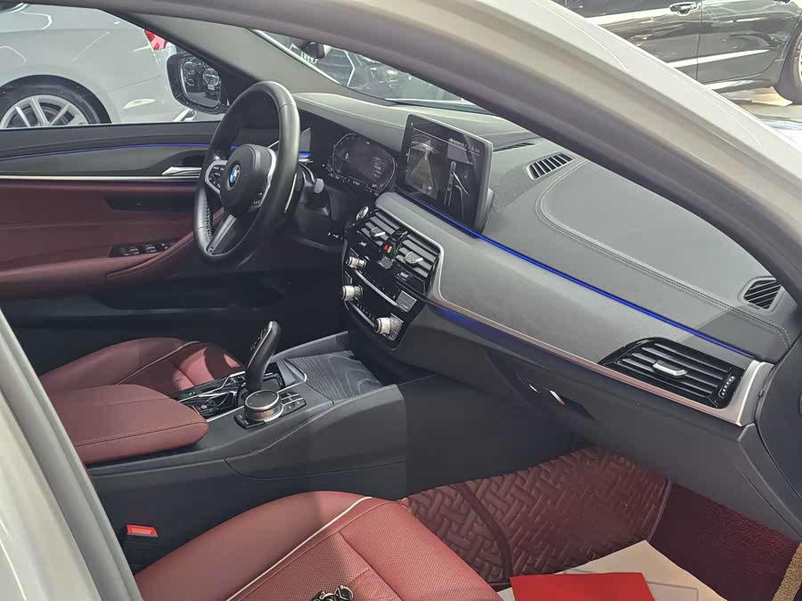BMW 5 Series 2021 car image #18