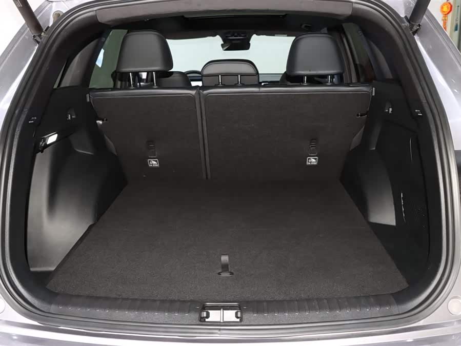 GEELY Ulion 2018 immagine di auto #18