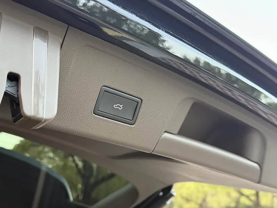 Volkswagen Viloran 2024 car image #18