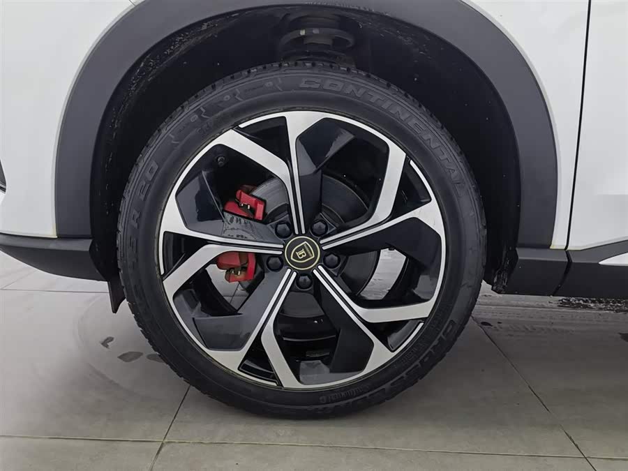 BYD Song Plus 2020 #18 BYD Song Plus 2020 immagine di auto #18